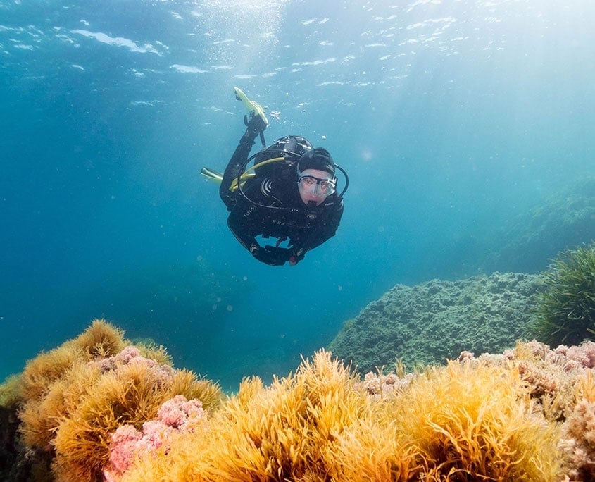 Chica buceando en el fondo marino de Alicante