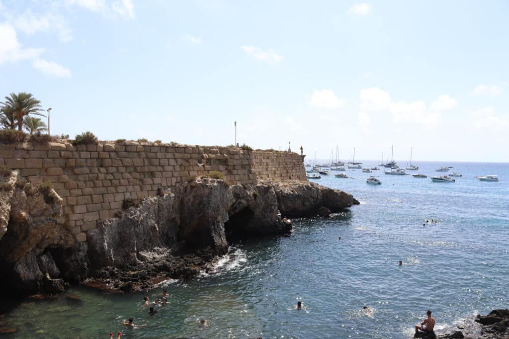 Cova del llop marí en tabarca