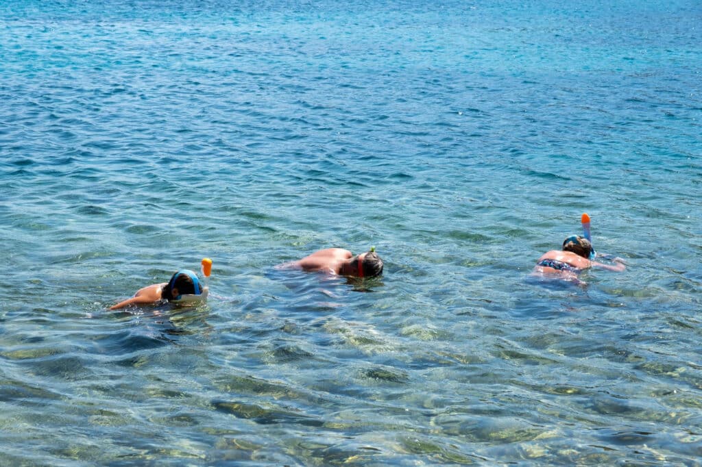 grupo de gente haciendo snorkel