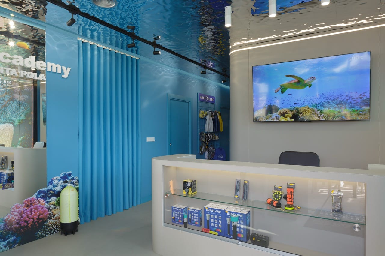 recepcion dive academy