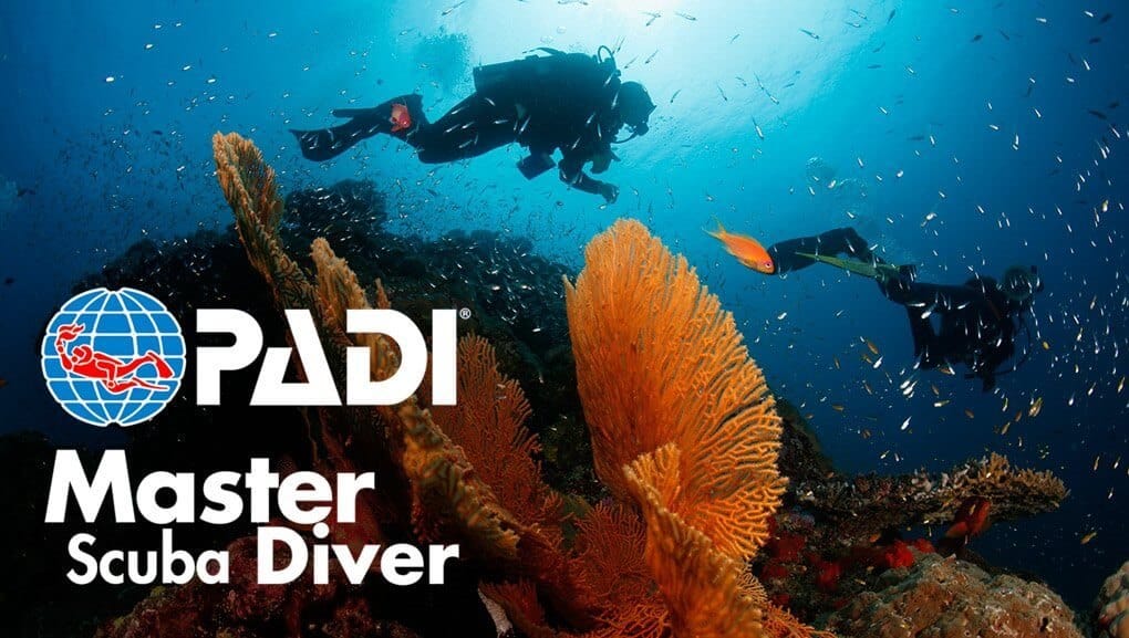 curso padi en tarragona