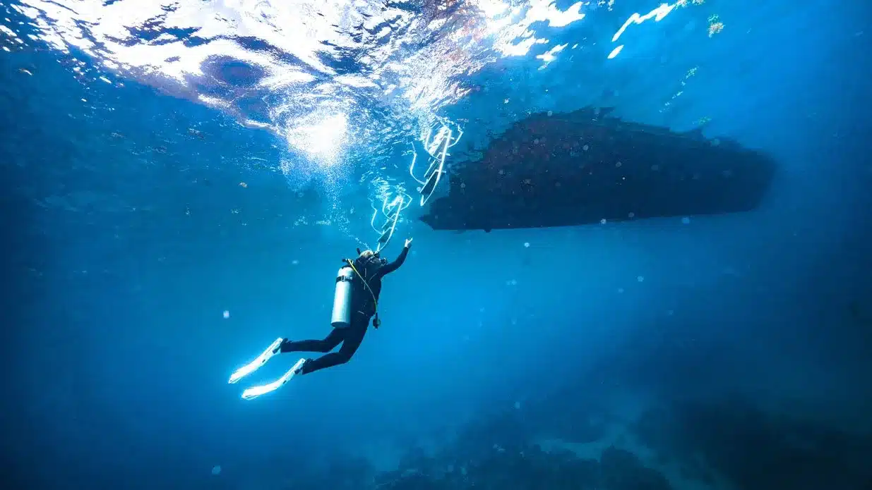 curso boat diver