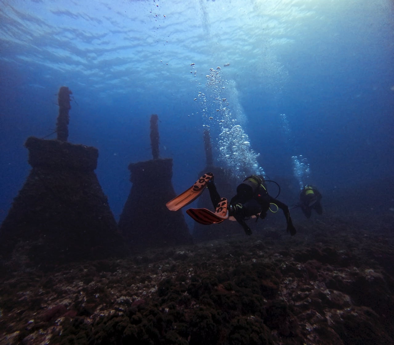 curso dive master