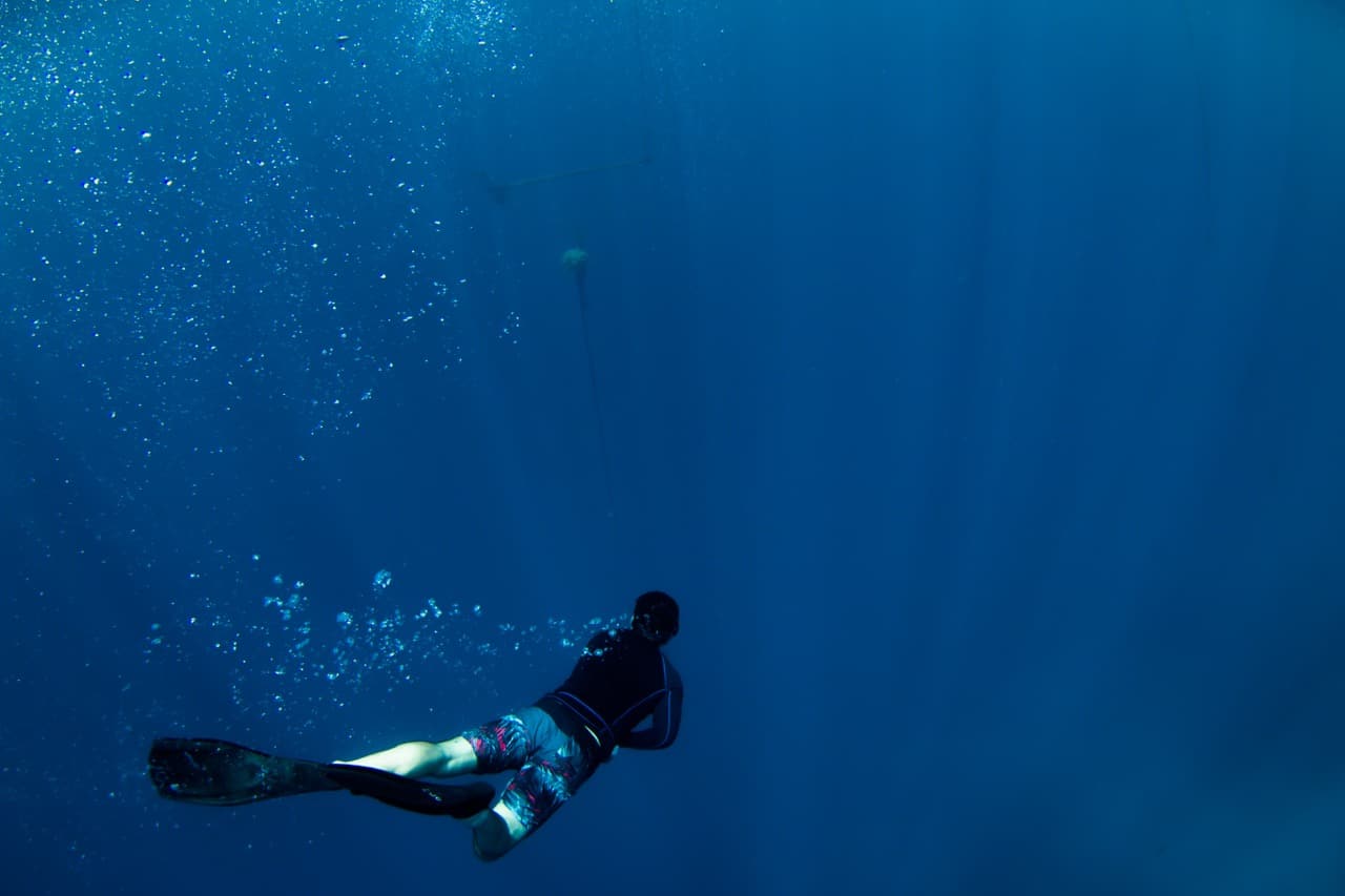 curso padi