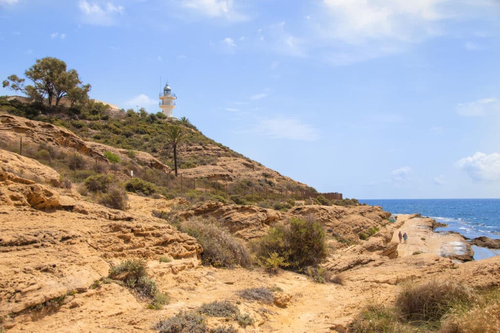 Cala palmera para bucear en Alicante
