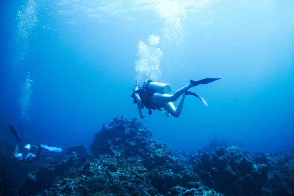 buceo en alicante actividad