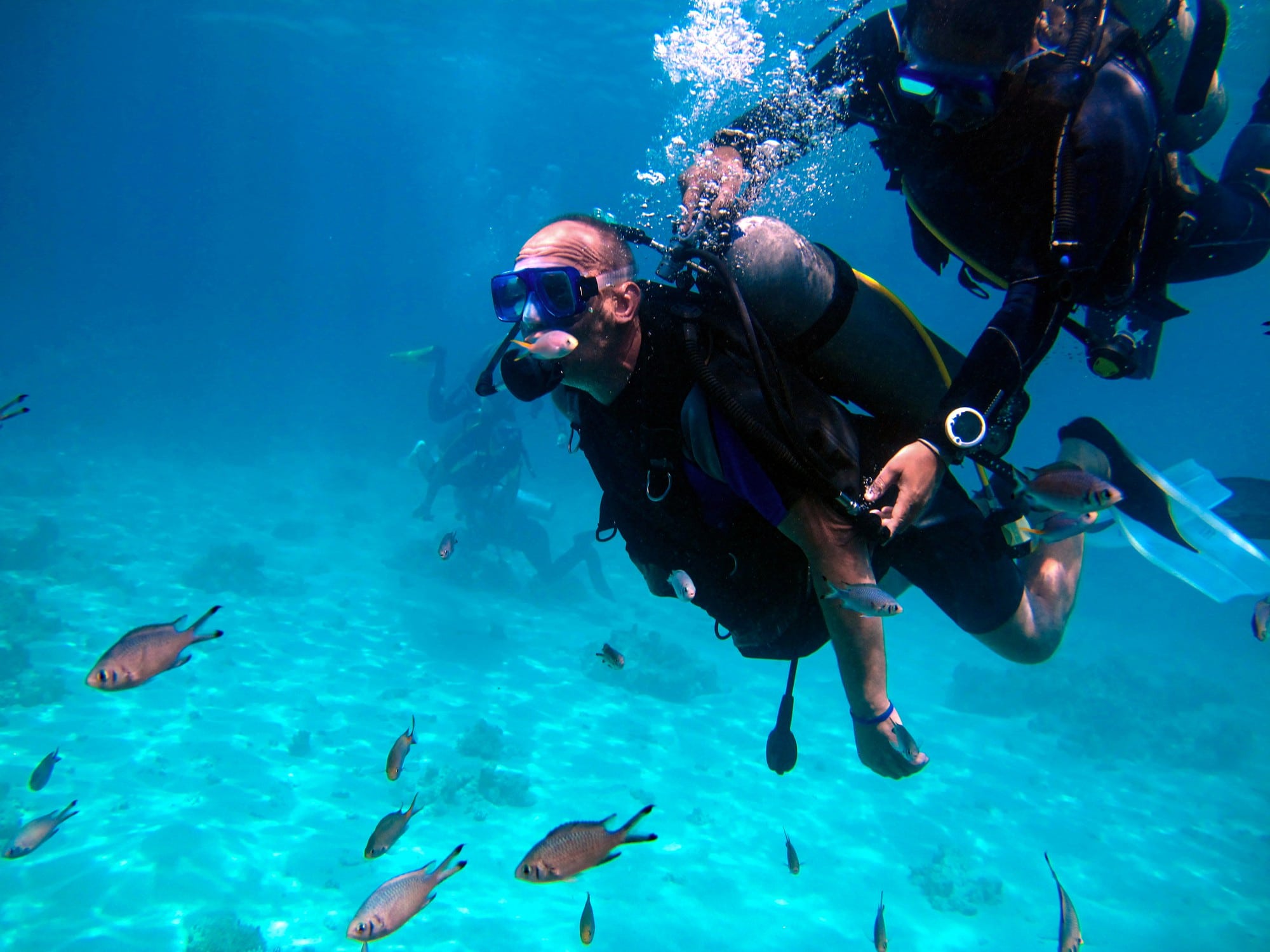 especialidades del curso de instructor padi