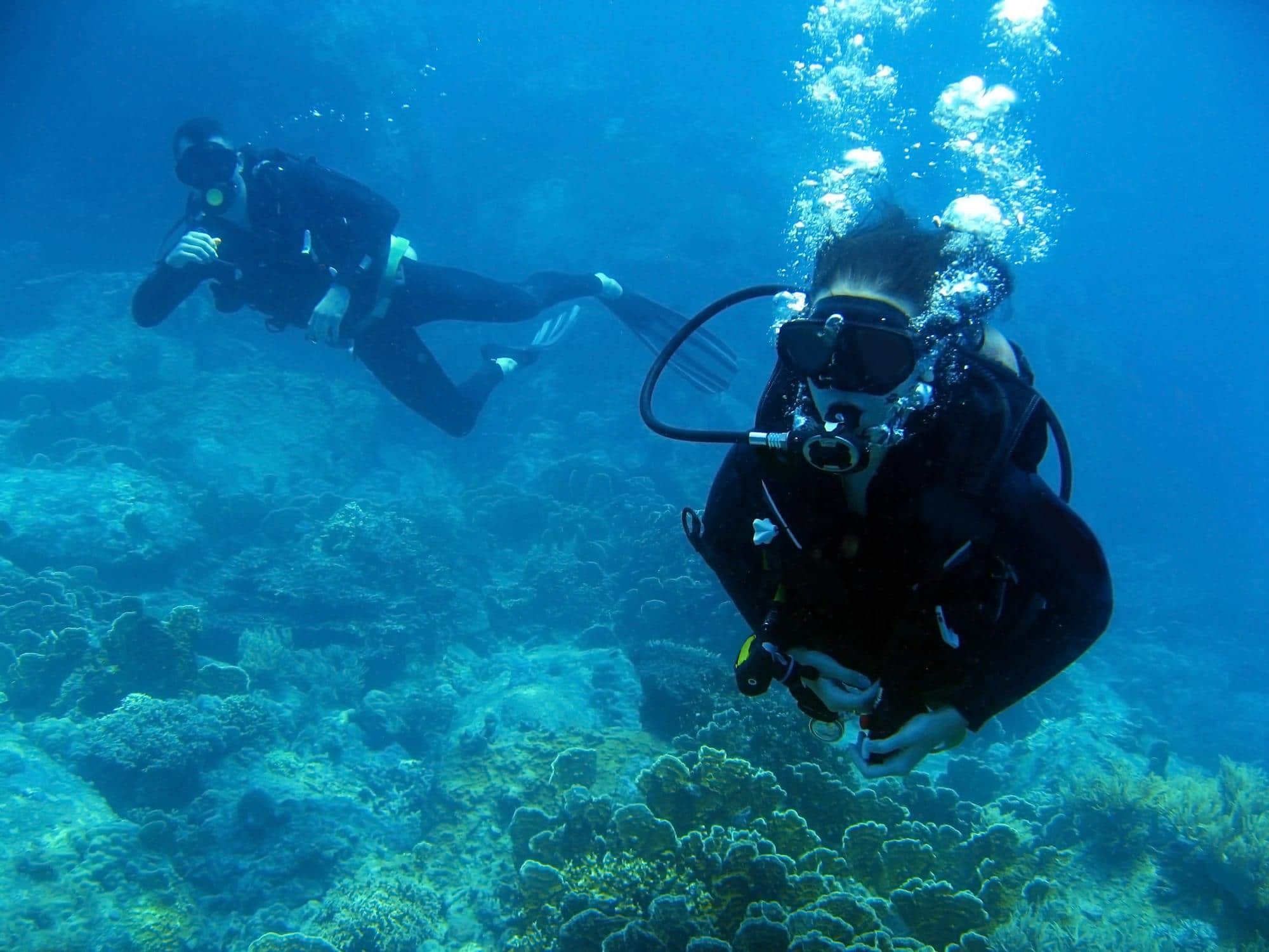 Qué es el padi en buceo